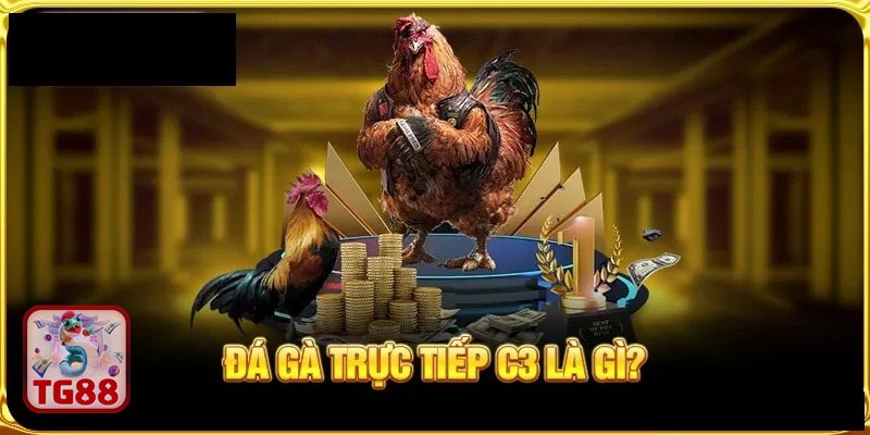 Đá gà TG88 - Philippines: kỹ thuật đa dạng, biến hóa góc đánh